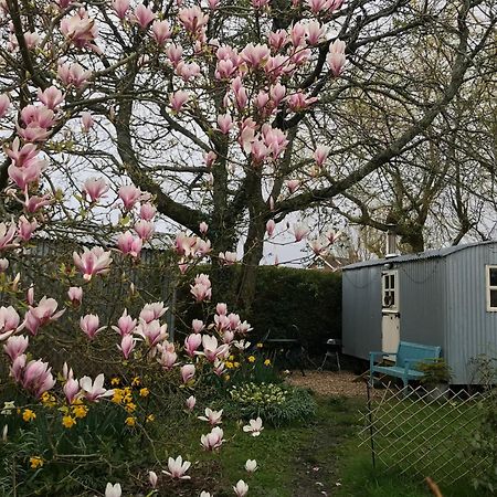 The Wayside Shepherd Hut Beaulieu Εξωτερικό φωτογραφία