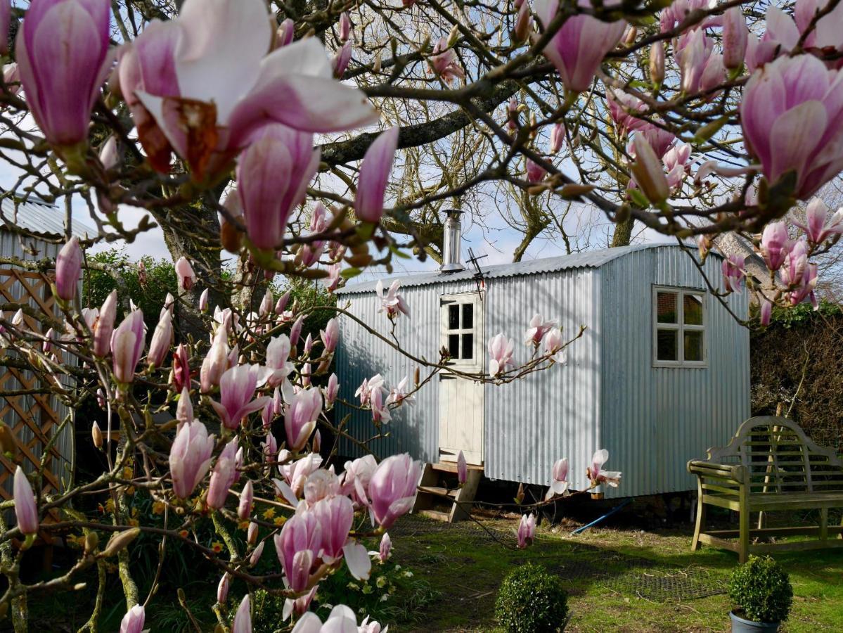 The Wayside Shepherd Hut Beaulieu Εξωτερικό φωτογραφία