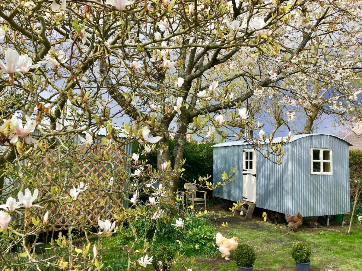 The Wayside Shepherd Hut Beaulieu Εξωτερικό φωτογραφία