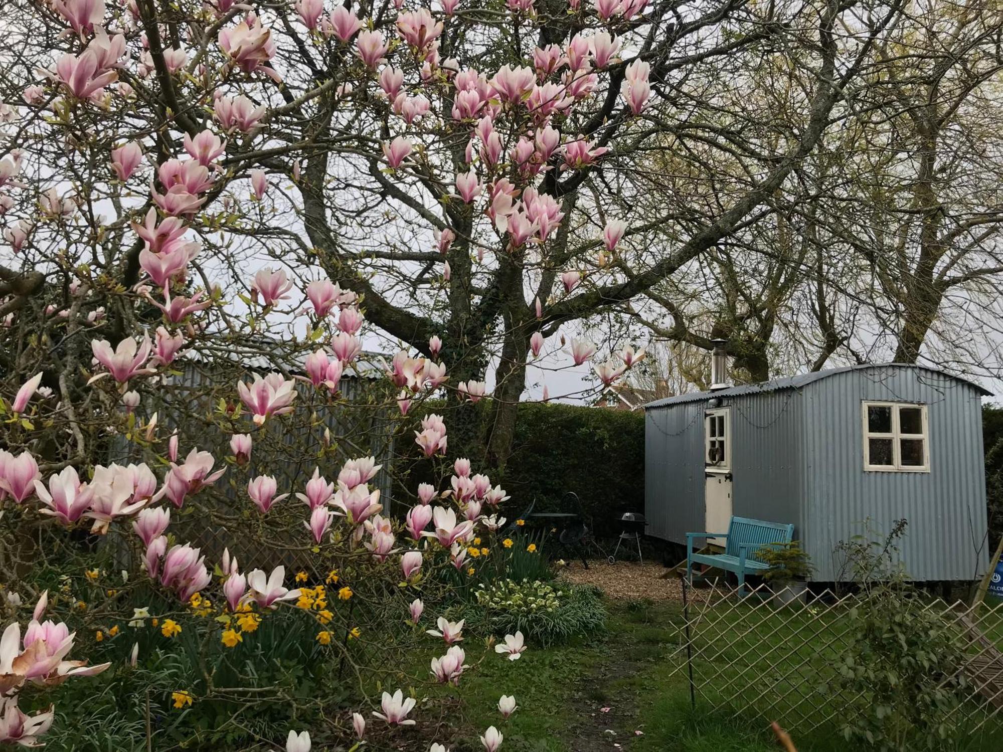 The Wayside Shepherd Hut Beaulieu Εξωτερικό φωτογραφία
