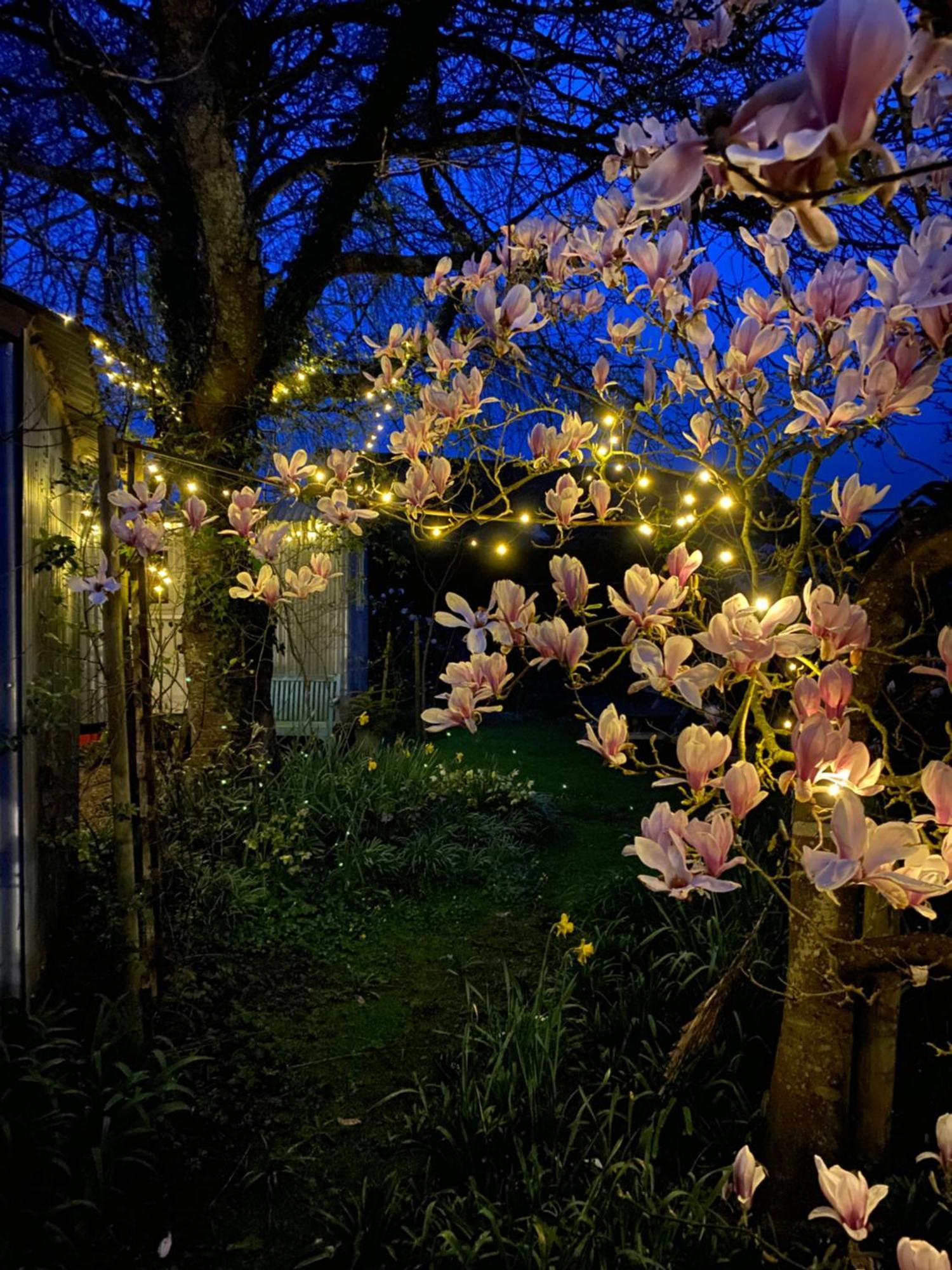 The Wayside Shepherd Hut Beaulieu Εξωτερικό φωτογραφία