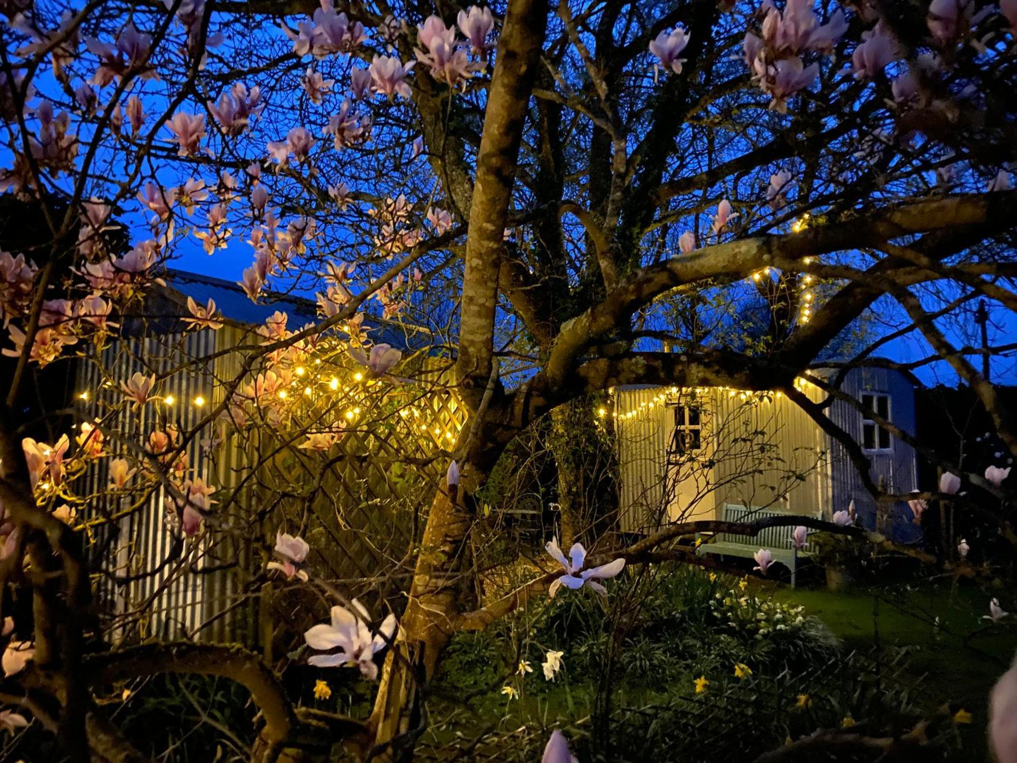 The Wayside Shepherd Hut Beaulieu Εξωτερικό φωτογραφία